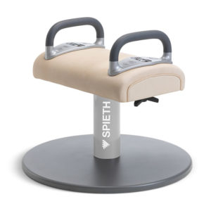 Double Pommel Trainer