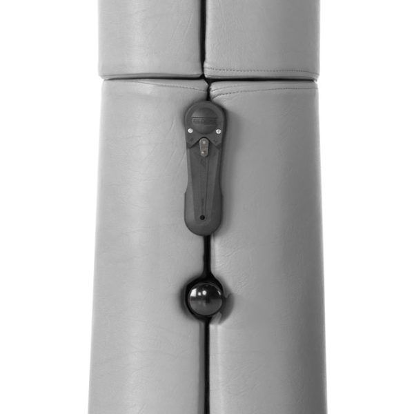 INTERNATIONAL Ergojet Vaulting Table by SPIETH Germany FIG Approved - Image 2