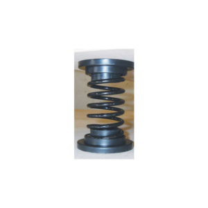 Coil Springs with Cap (each)