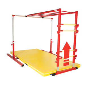 Salmon Ladder