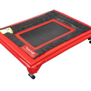 Mini Trak